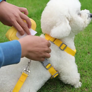 Peitoral Coleira Com Guia e Bolsa Removível Para Cachorro Pet Cães Pequenos E Médios Gato De Viagem