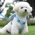 Peitoral Coleira Com Guia e Bolsa Removível Para Cachorro Pet Cães Pequenos E Médios Gato De Viagem