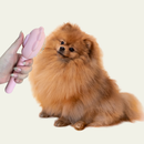 Pente Agulha Para Animais De Estimação Escova Pet Gato Cão Cachorro Remove Pelo Solto Massageador