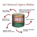 Sal Cavalo Blokus 60 Mineral em Bloco 6kg Supra | Sal Maciço | Potencialize a Saúde do Seu Animal