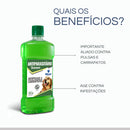 Coleira Antipulgas e Carrapatos para Cães Proteção 3 Meses